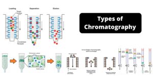 Types of Chromatography – Classification of Chromatography