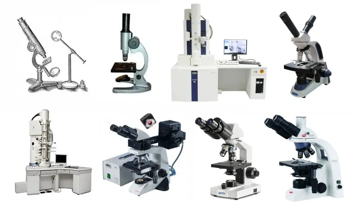 Types of Microscopes With Definitions, Principle, Uses, Labeled Diagrams