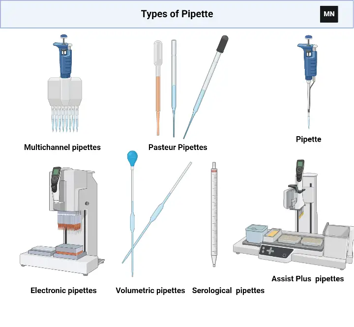 Pipette - Definition, Principle, Parts, Procedure, Applications ...