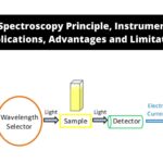 UV-Vis Spectroscopy - Principle, Instrumentation, Applications, Advantages, and Limitation