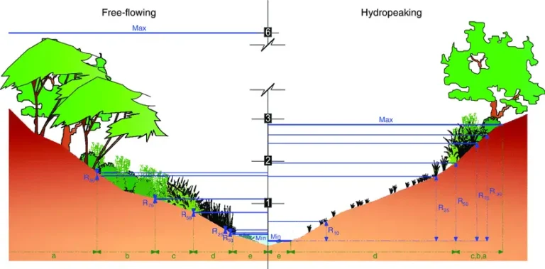 Vertical Zonation - Definition, Types, Causes, Factors, Examples