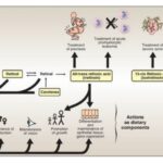 Vitamin A - Structure, Functions, Properties, Source and deficiency