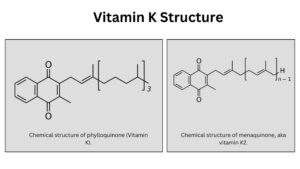 Vitamin K – Structure, Properties, Biological roles and Deficiency