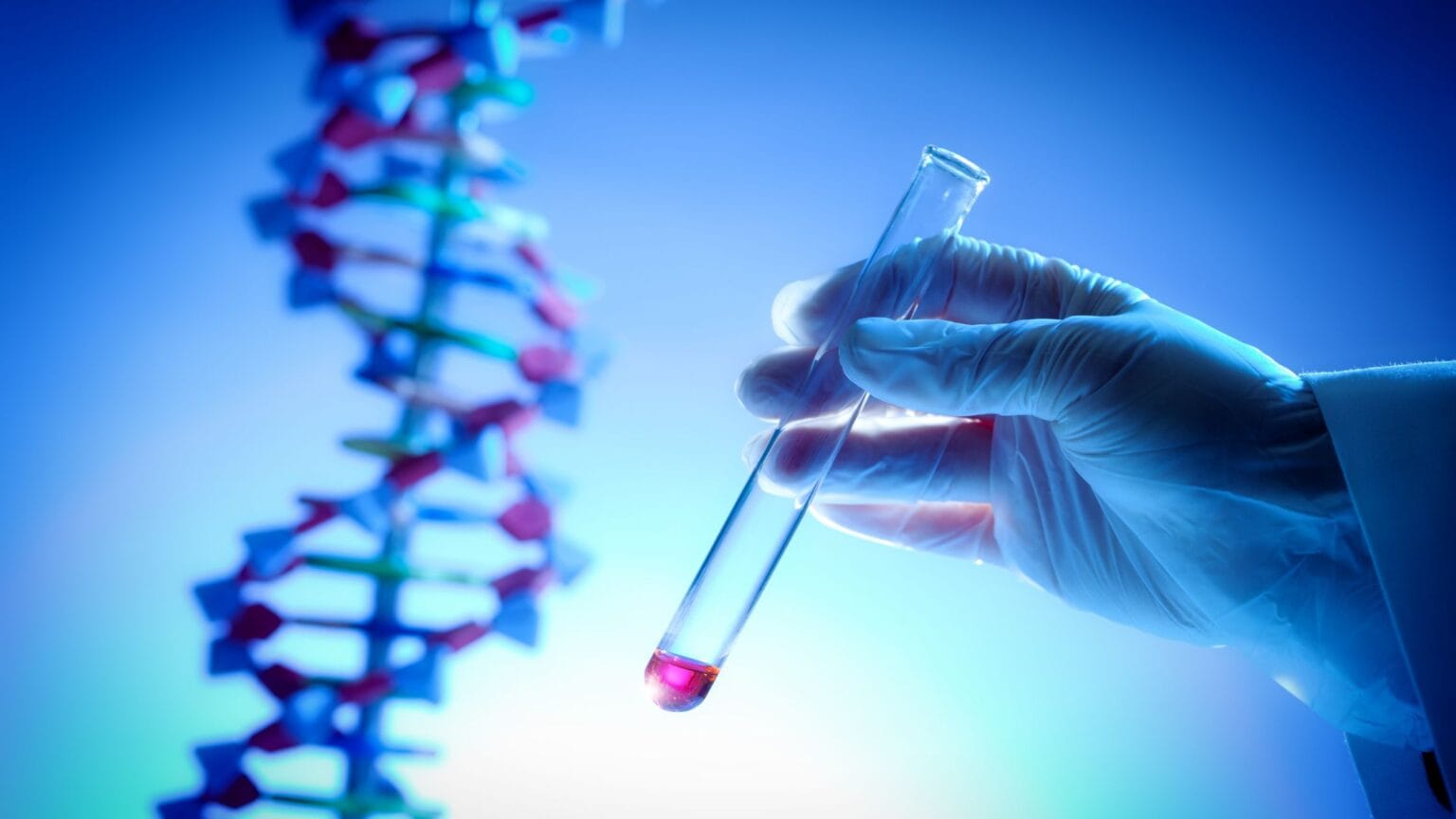 Databases in Bioinformatics - Types, Functions, Examples, Tools ...