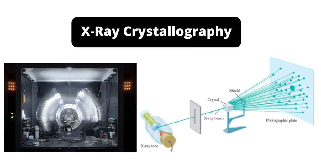 X Ray Crystallography Biology Notes Online 8268