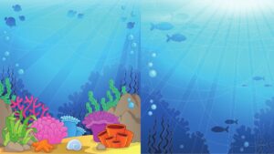 Aquatic Ecosystem – Definition, Types, Examples