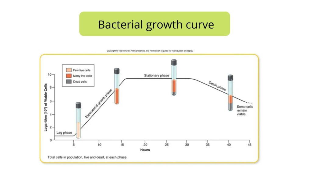 Bacterial Growth Curve - Definition, Phases, Calculations, Factors ...