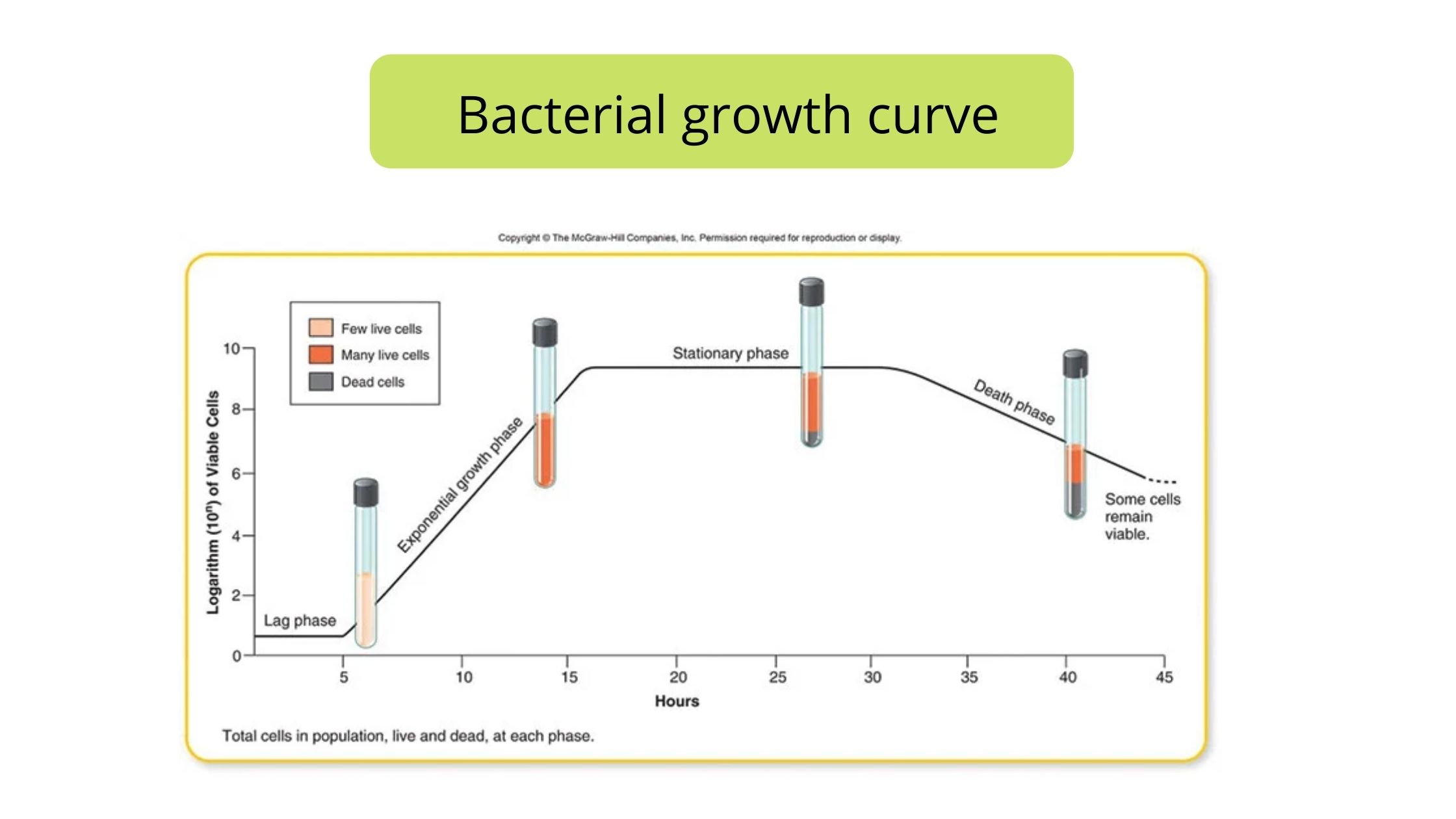 Bacterial Growth Curve - Definition, Phases, Calculations, Factors, Importance