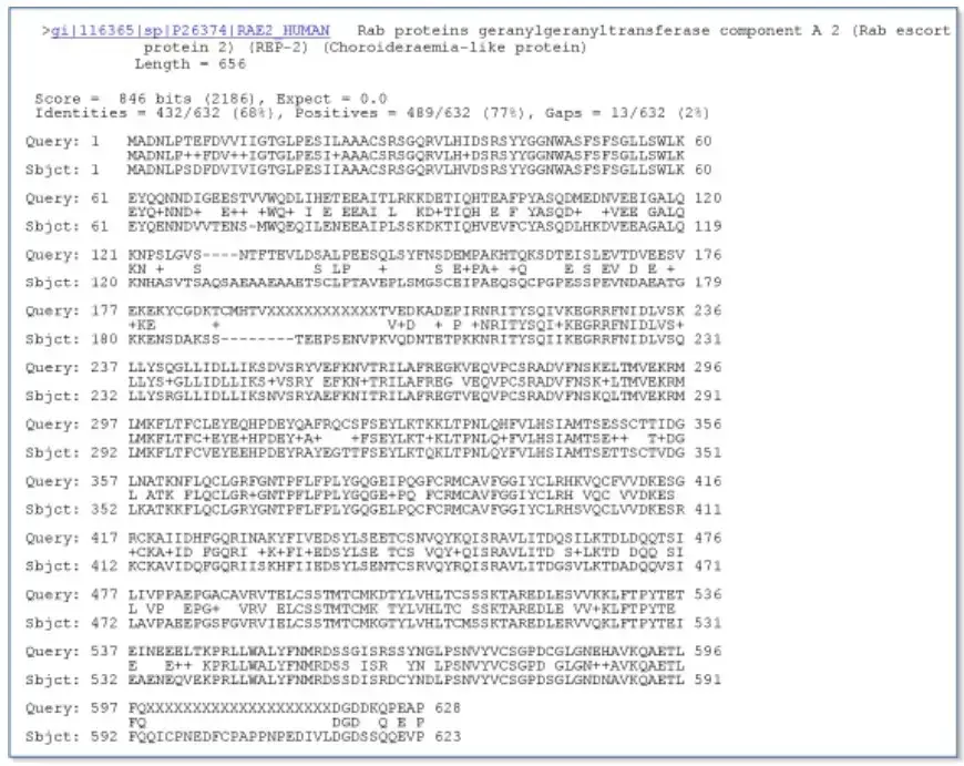 A pairwise sequence alignment from a BLAST report