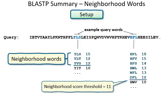 blast neighborhoodwords