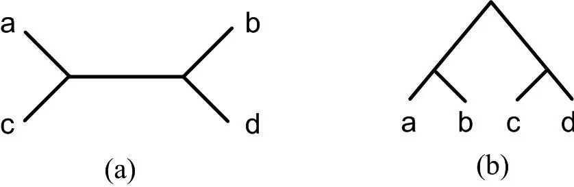 Topologies of phylogenetic trees: (a) unrooted tree, (b) rooted tree.