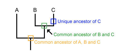 Step 04: Read the Diagram as a Whole