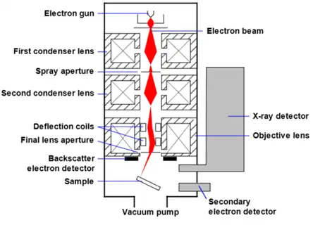 Mechanism of Scanning Electron Microscope