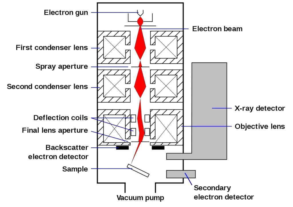 Schematic of an SEM
