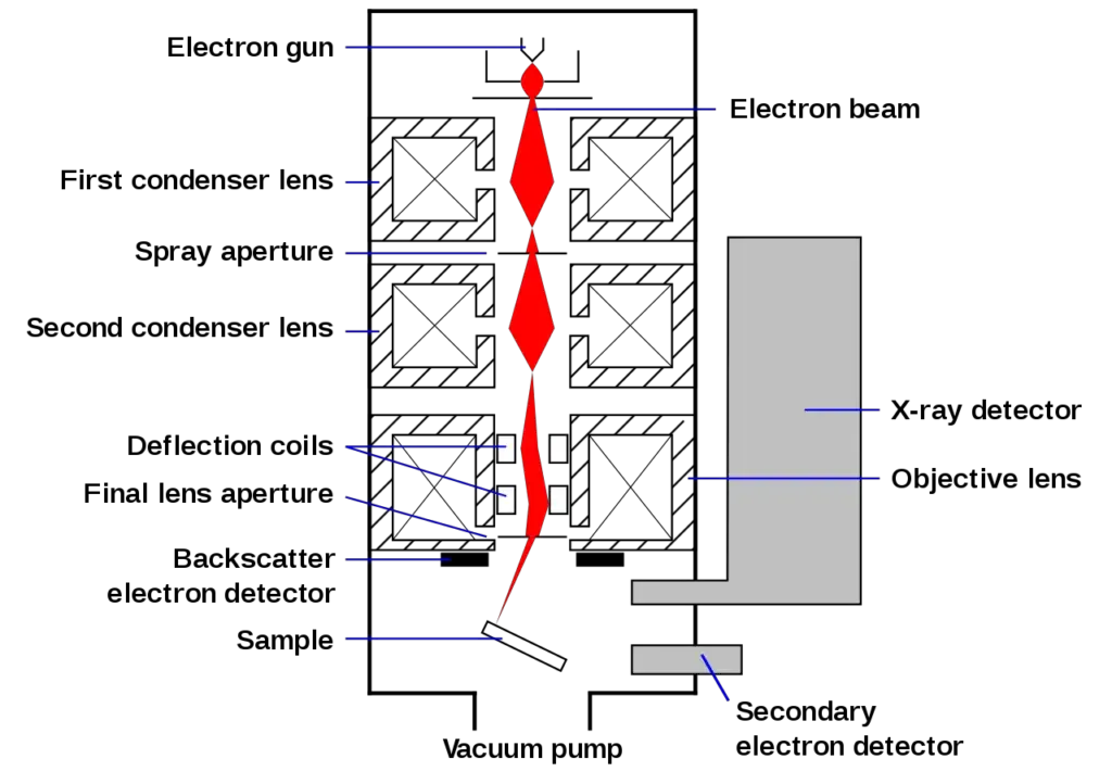 Schematic of an SEM
