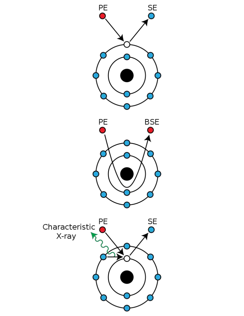 Mechanisms of emission of secondary electrons, backscattered electrons, and characteristic X-rays from atoms of the sample
