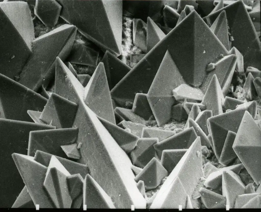 Scanning Electron Microscope (SEM) Images – Surface of a kidney stone