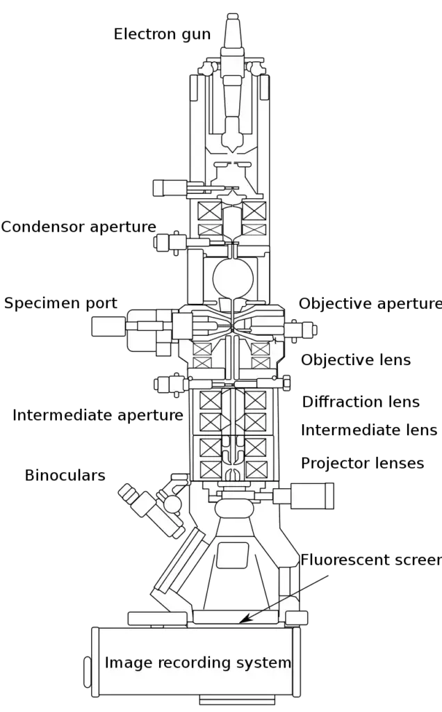 Parts of A Transmission Electron Microscope
