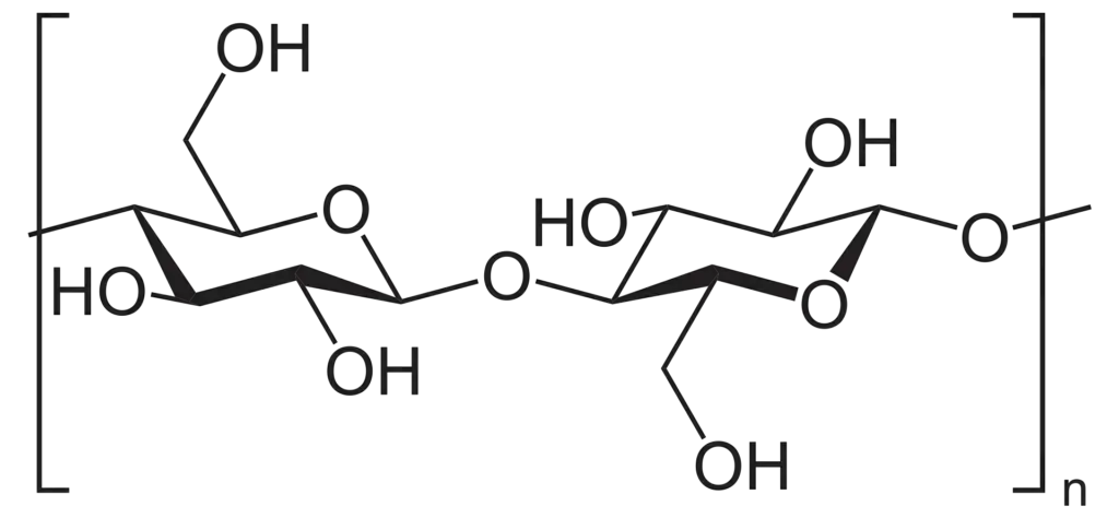 Cellulose, a linear polymer of D-glucose units (two are shown) linked by β(1→4)-glycosidic bonds