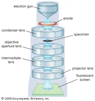 Transmission Electron Microscope