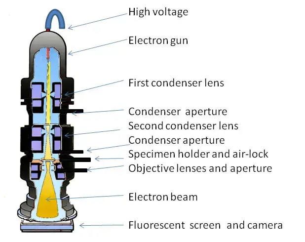 Working principle of Transmission Electron Microscope 