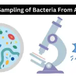 Sampling of Bacteria From Air
