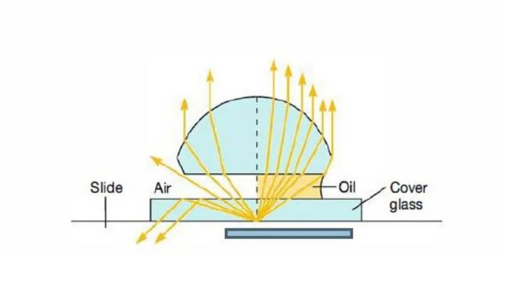 Oil Immersion Technique - Objectives, Procedure, Types 1 Oil Immersion