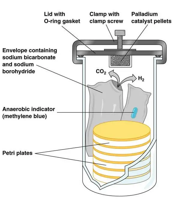 GasPak Anaerobic System