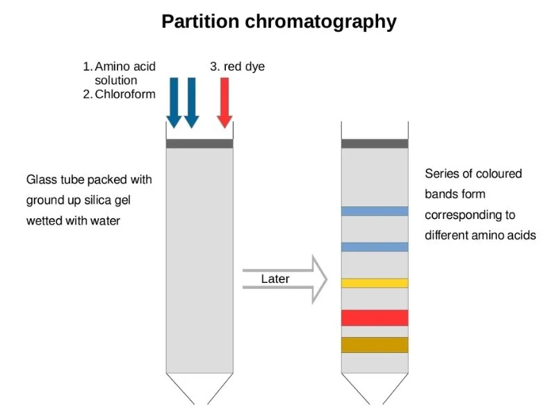 Chromatography - Principle, Types, Applications 6 Partition chromatography