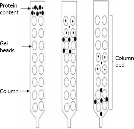 Chromatography - Principle, Types, Applications 8 Gel- permeation (molecular sieve) chromatography