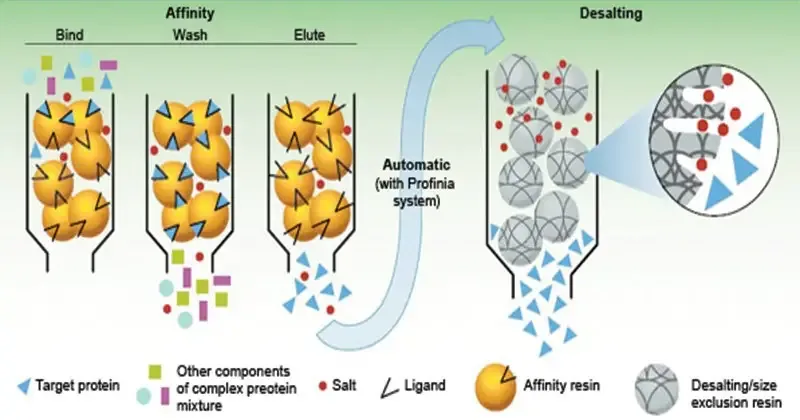 Chromatography - Principle, Types, Applications 9 Affinity chromatography