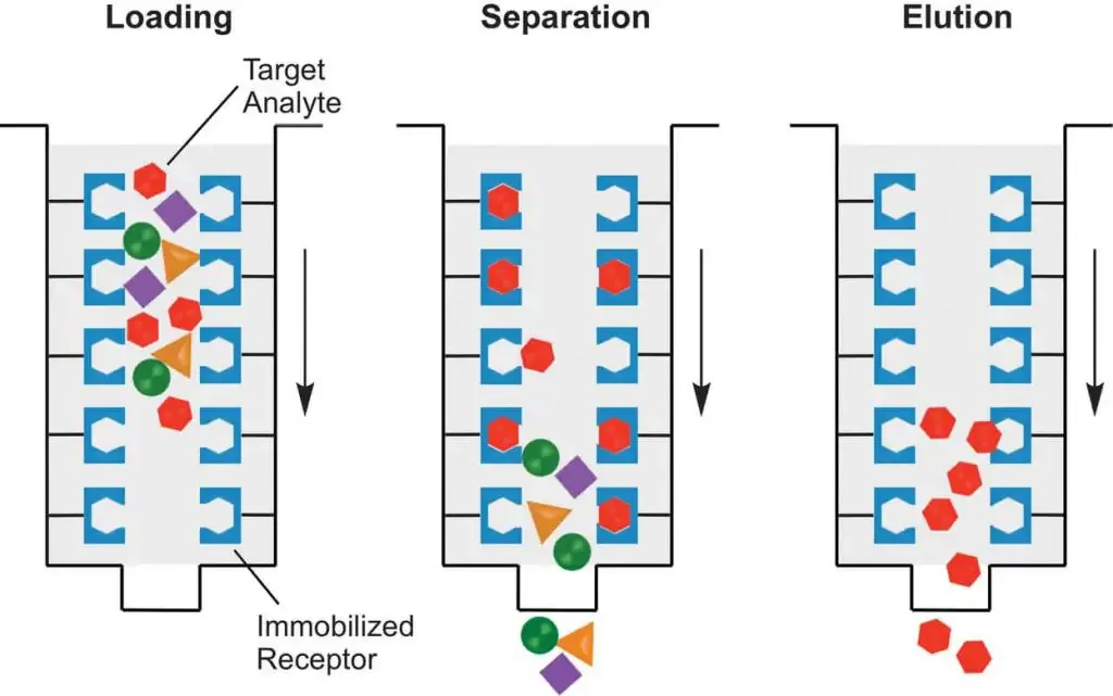 Procedure of Affinity Chromatography (affinity chromatography steps)