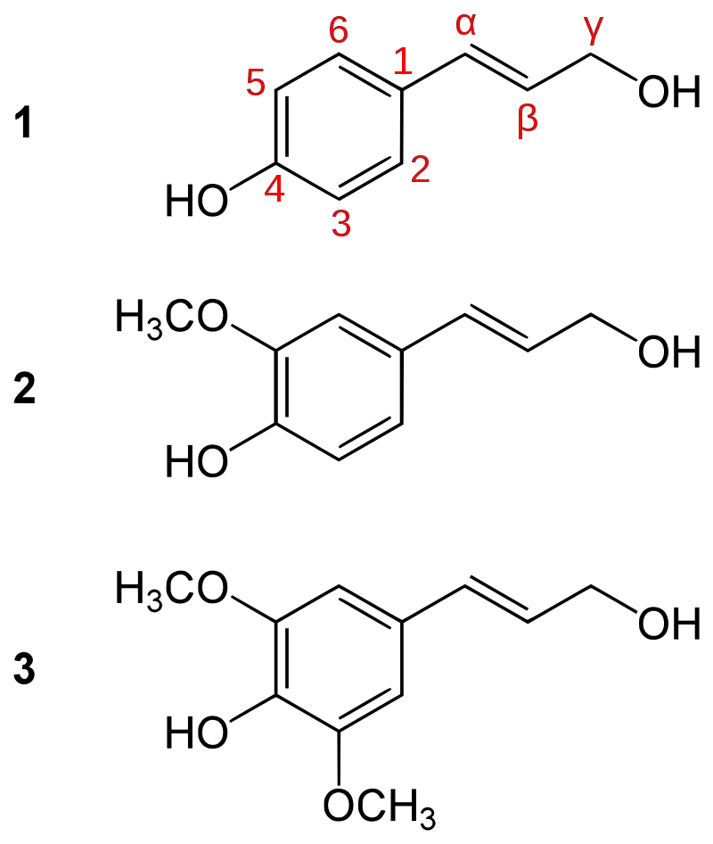 The three common monolignols: paracoumaryl alcohol (1), coniferyl alcohol (2) and sinapyl alcohol (3)