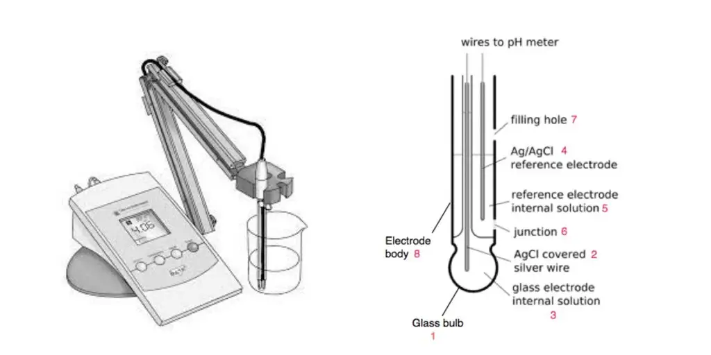 The pH meter