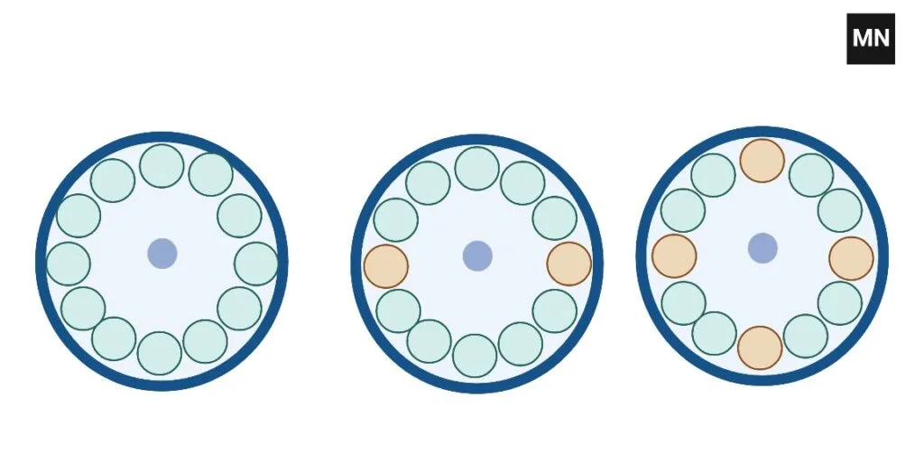 How to balance in a Centrifuge?
