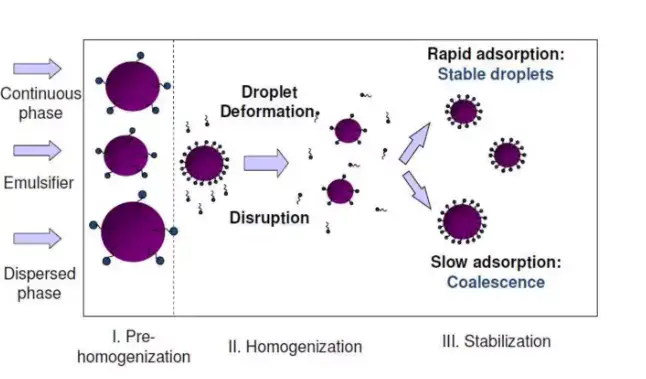 Physicochemical Process Occuring During Homogenization
