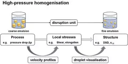 What is High Pressure Homogenizer?
