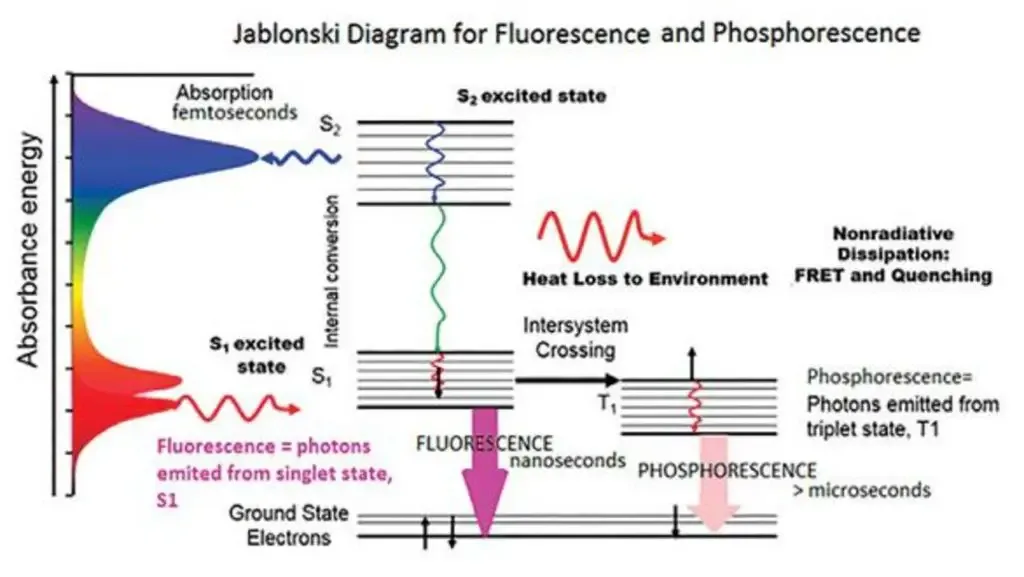 Fluorescence Spectrophotometry - Principle, Parts, Advantages, Uses 1 Fluorescence Spectrum
