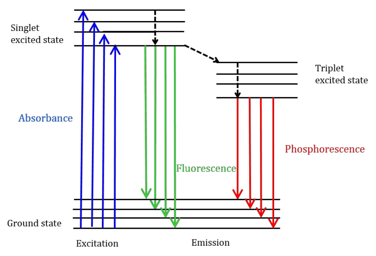 Jablonski diagram illustrating different transitions between a molecule’s energy states.
