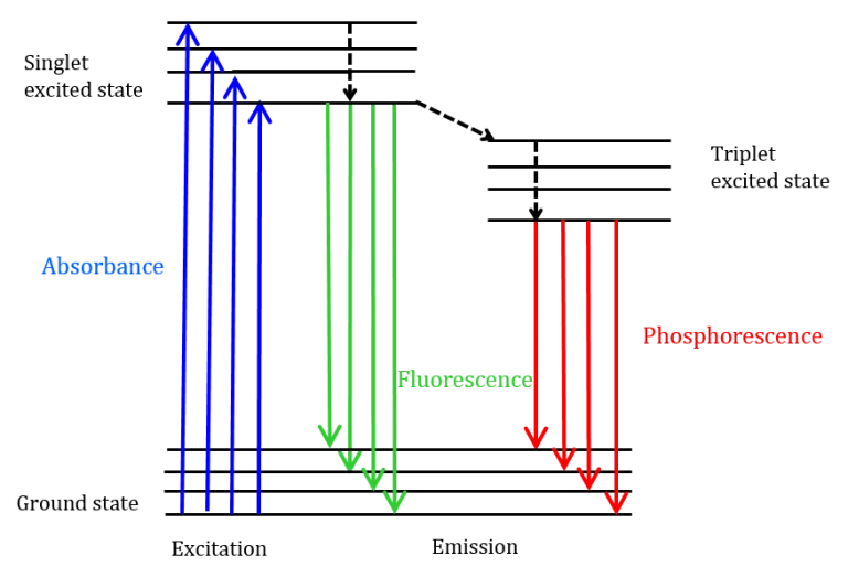 Fluorescence Spectrophotometry - Principle, Parts, Advantages, Uses 2 Jablonski diagram illustrating different transitions between a molecule’s energy states.