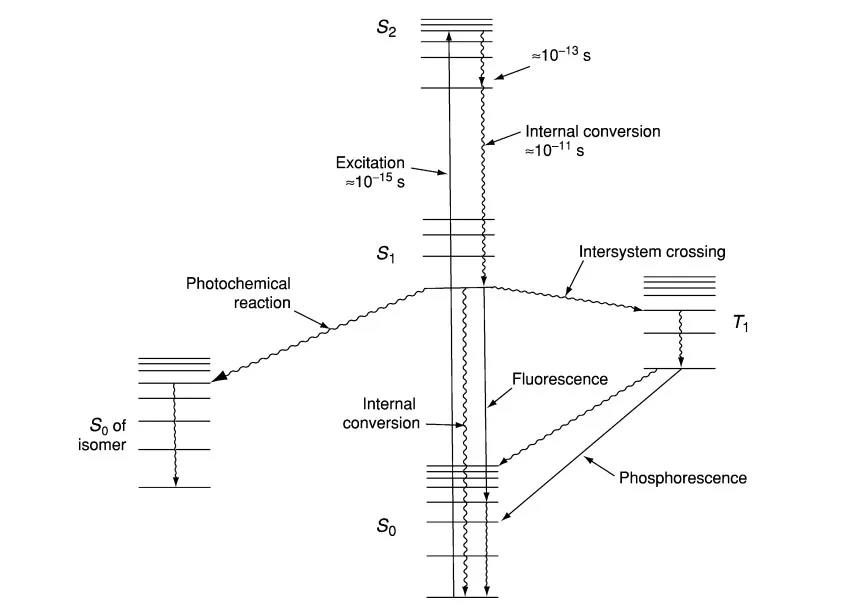 Fluorescence Spectrophotometry - Principle, Parts, Advantages, Uses 3 Fluorescence Phenomenon