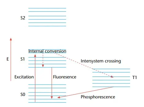 Fluorophore excitation, radiative decay, and nonradiative decay are depicted in the Jablonski diagram. E represents the energy scale; S0 is the ground singlet electronic state; and S1 and S2 are excited singlet electronic states with gradually higher energy. T1 is the triplet state with the lowest energy.
