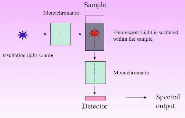 Fluorescence Spectrophotometry - Principle, Parts, Advantages, Uses 4 Operating Procedure of Fluorescence spectroscopy