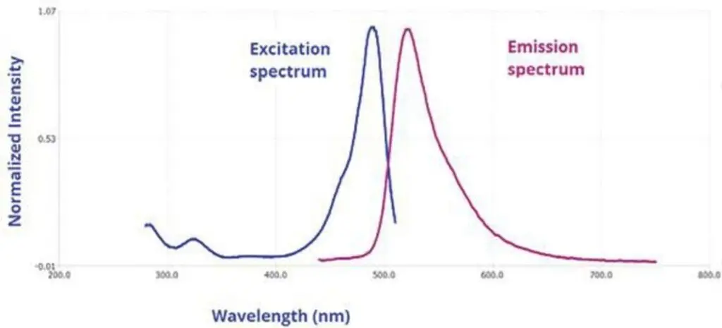 The emission and excitation spectra for a given fluorophore are mirror images of each other
