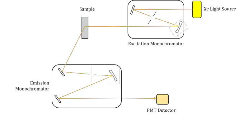 Cartoon schematic of a fluorometer. 