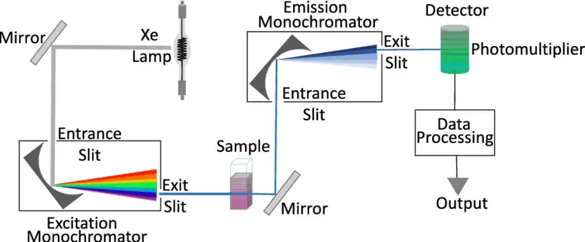 Fluorescence Spectrophotometry - Principle, Parts, Advantages, Uses 5 Major components of fluorescence spectrophotometry.