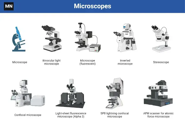 Different Types of Microscopes
