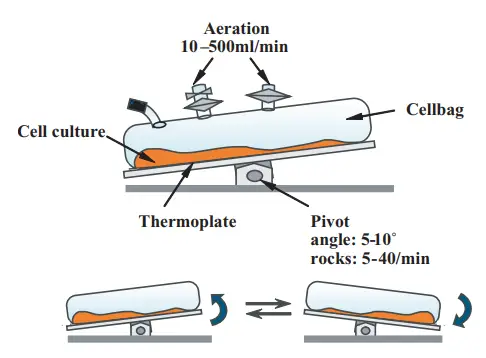 Working Principle of Wave Bioreactor
