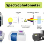 Spectrophotometer - Principle, Parts, Types, Mechanism, Uses