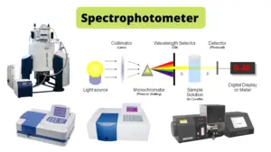 Spectrophotometer – Principle, Parts, Types, Mechanism, Uses